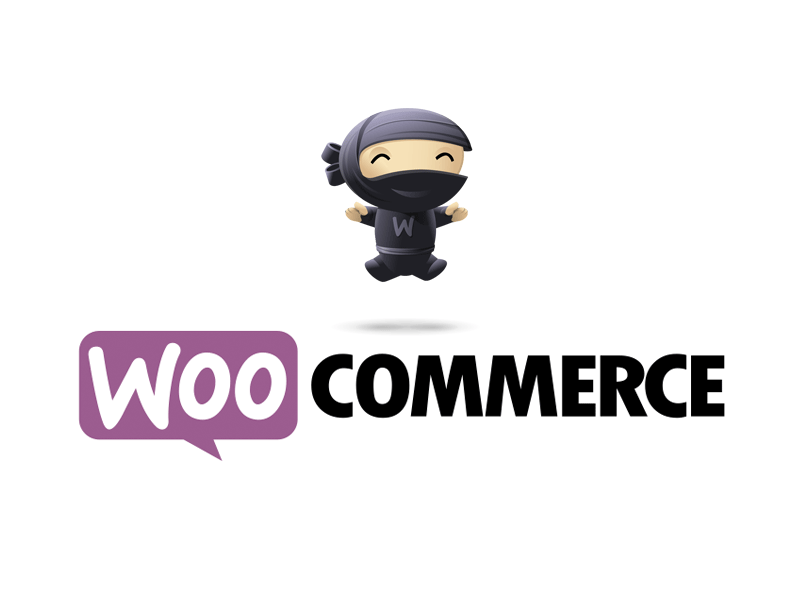 Alternative Payment Gateway for Woocommerce